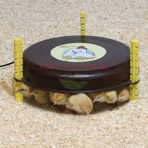 Calefactor pollitos Nanny Hen