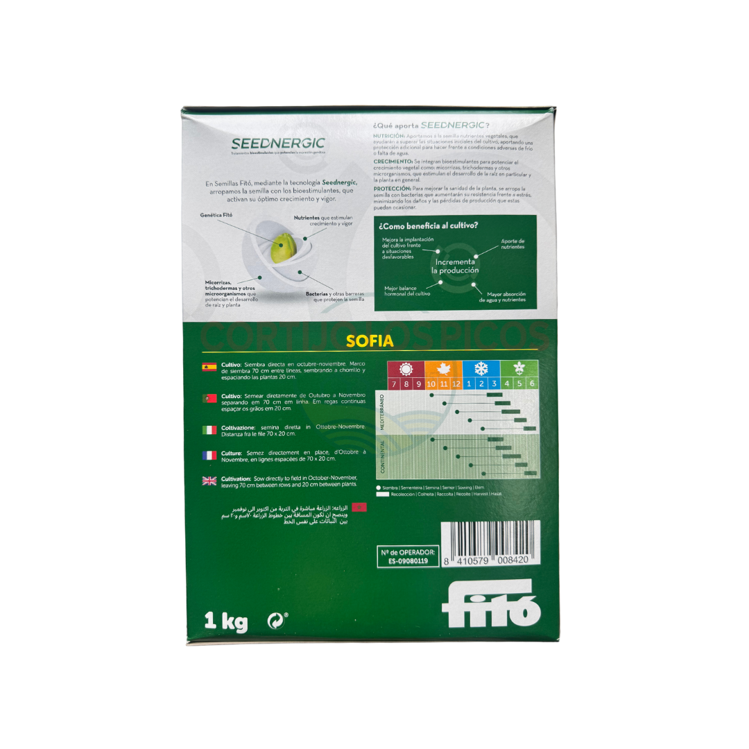 Haba Reina Mora Semilla Haba Reina Mora Semilla