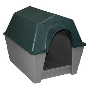caseta de perro royal