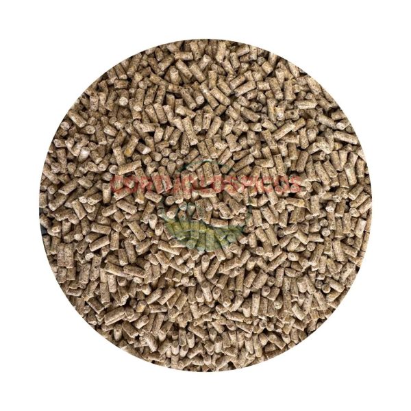 Pienso para Pollos Camperos Oro Grano